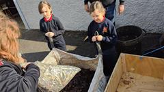 Our New Wormery!