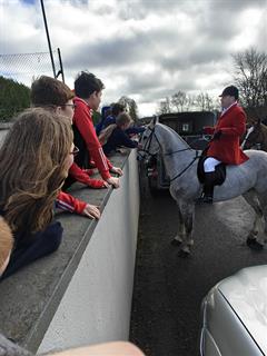 Laois Hunt gathering
